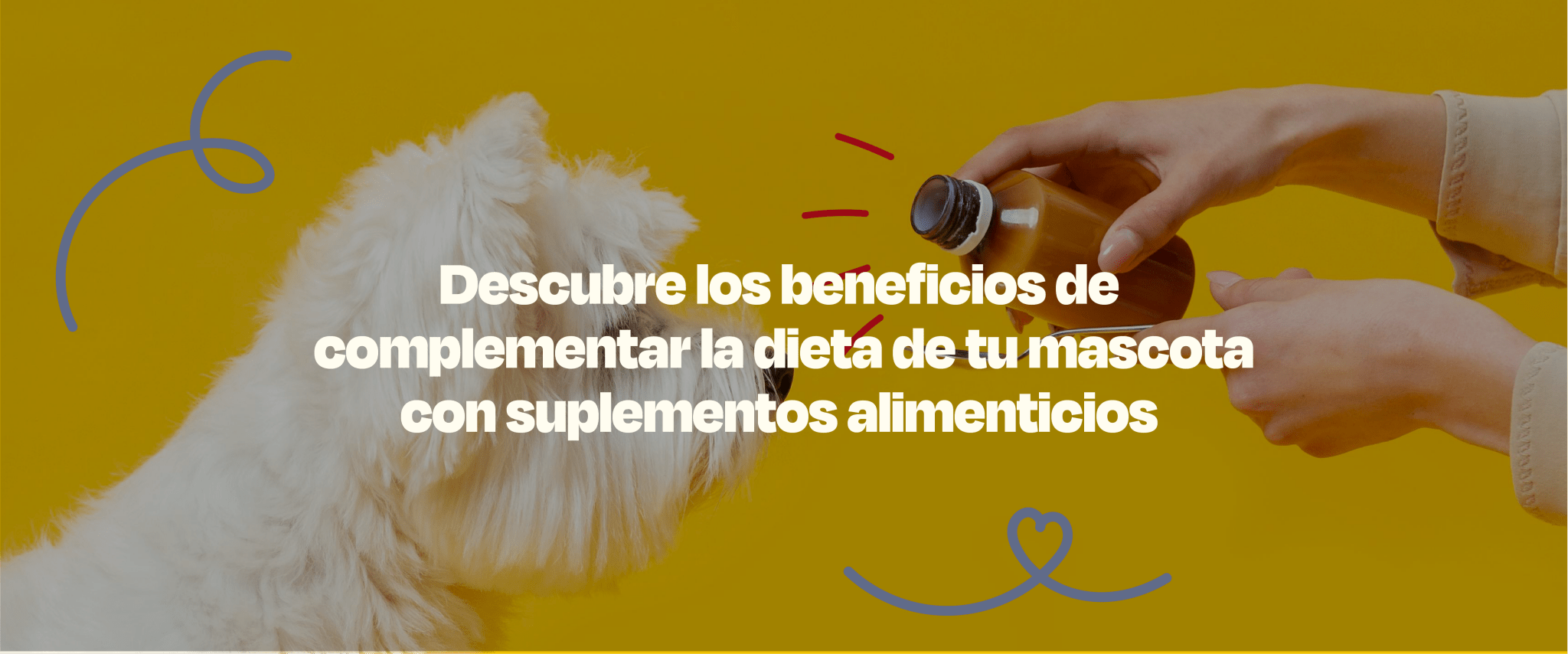 Cuidado con el perro: tan real que confunde