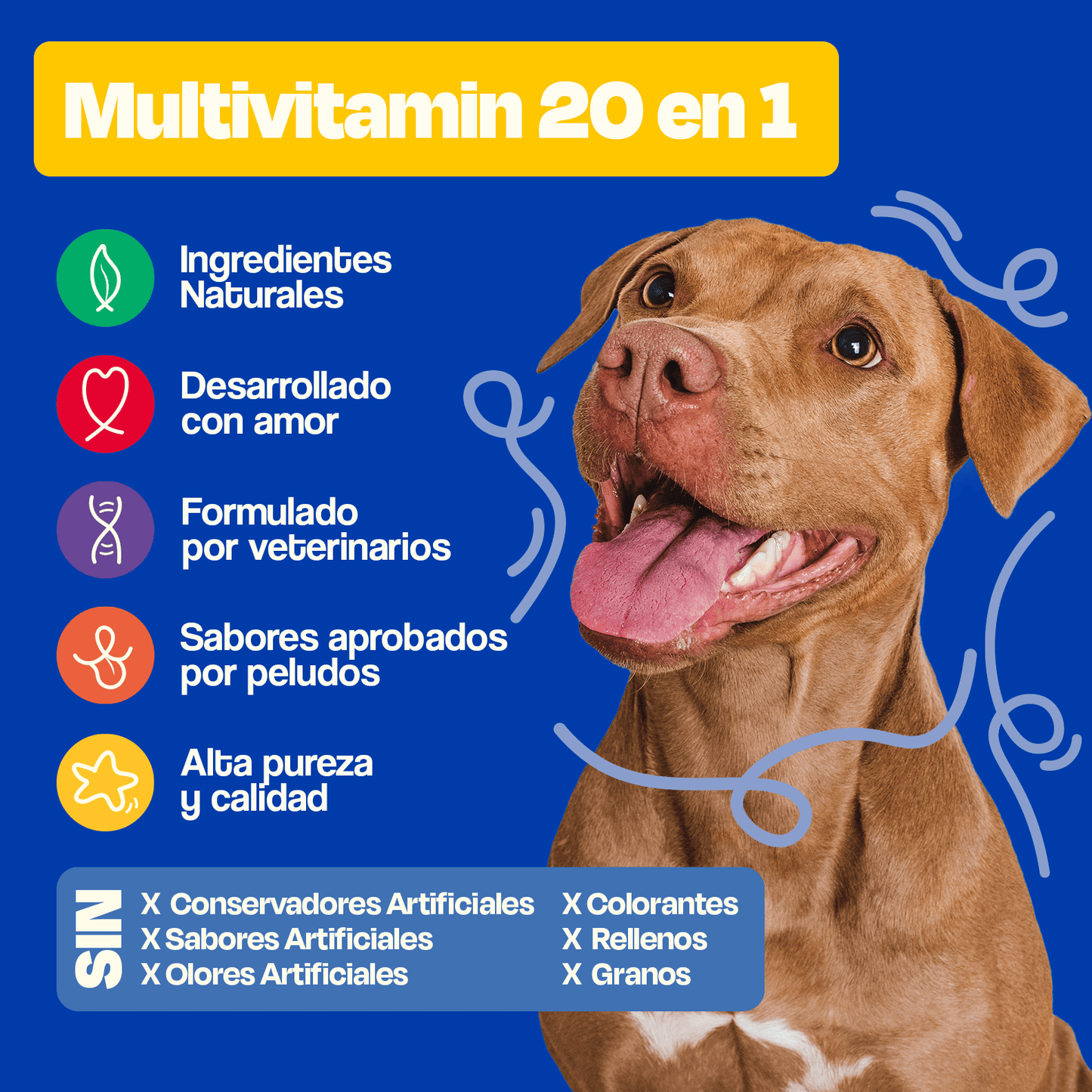 Multivitamin 20 en 1 - Dogelthy