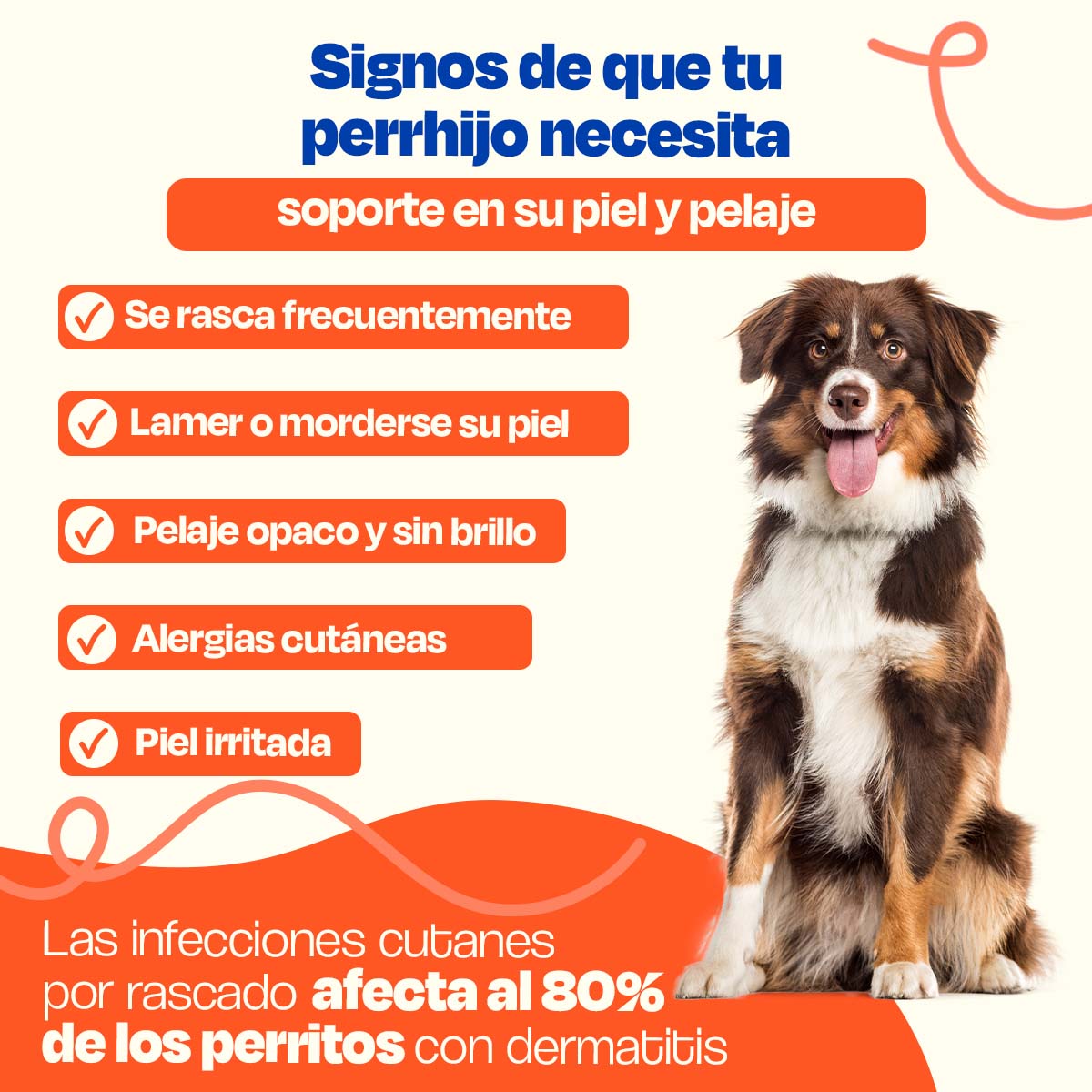 Suplemento para Pelaje y Piel de Perro - Skin and Coat - Dogelthy